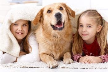 Copiii și animalele de companie