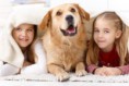 Copiii și animalele de companie